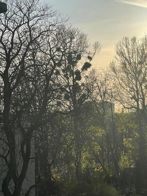 Stilvolles Augarten Refugium Wiedeń Zewnętrze zdjęcie